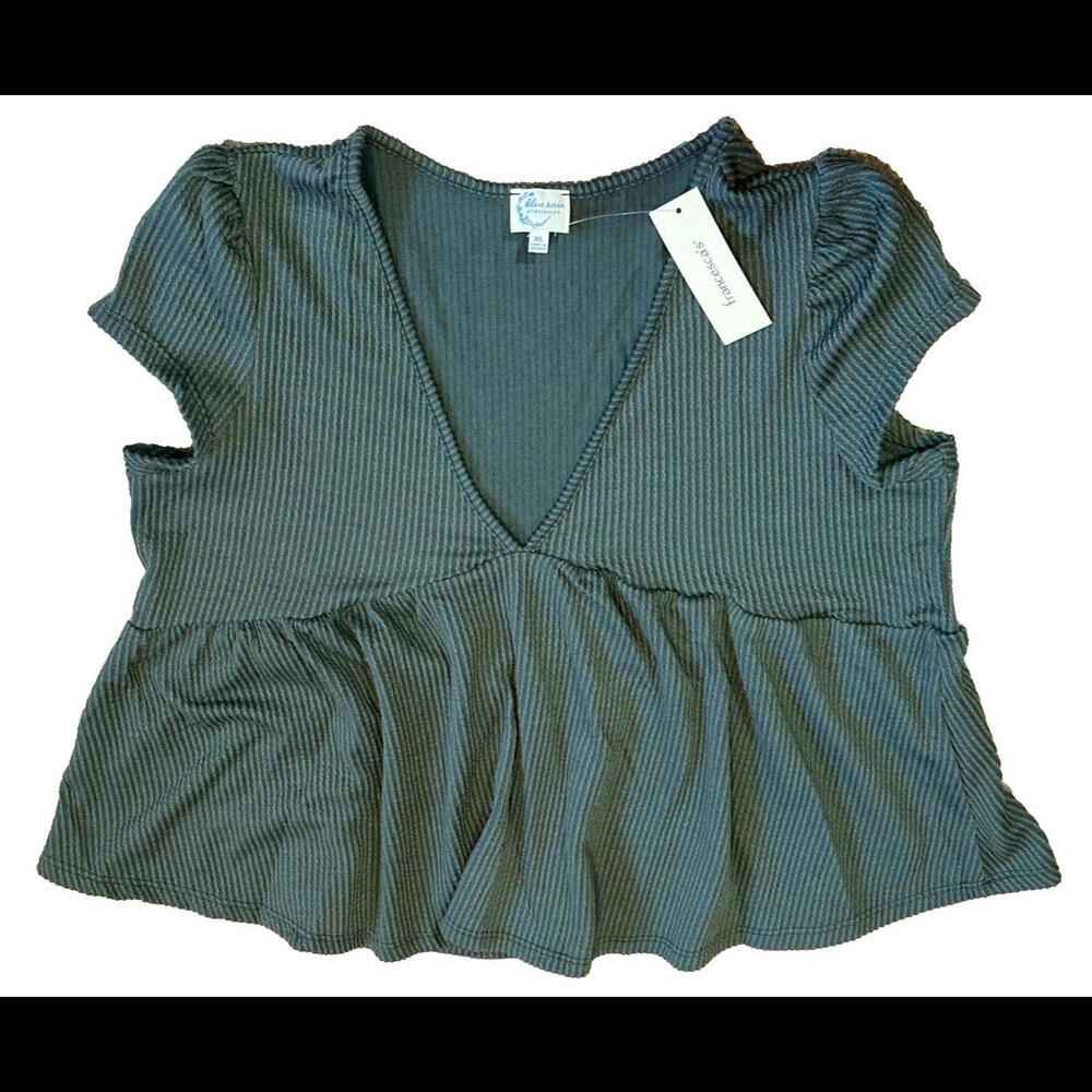 Top FRANCESCAS Blue Rain V Neck Sleeveless Size X-LARGE *NWT* MSRP $38.00